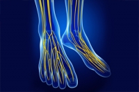 How Peripheral Neuropathy Affects the Body’s Messaging System